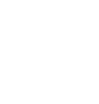 project button